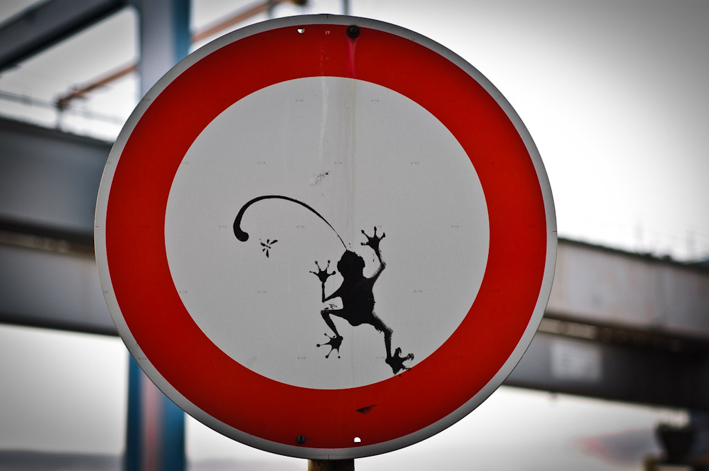 Schildfrosch