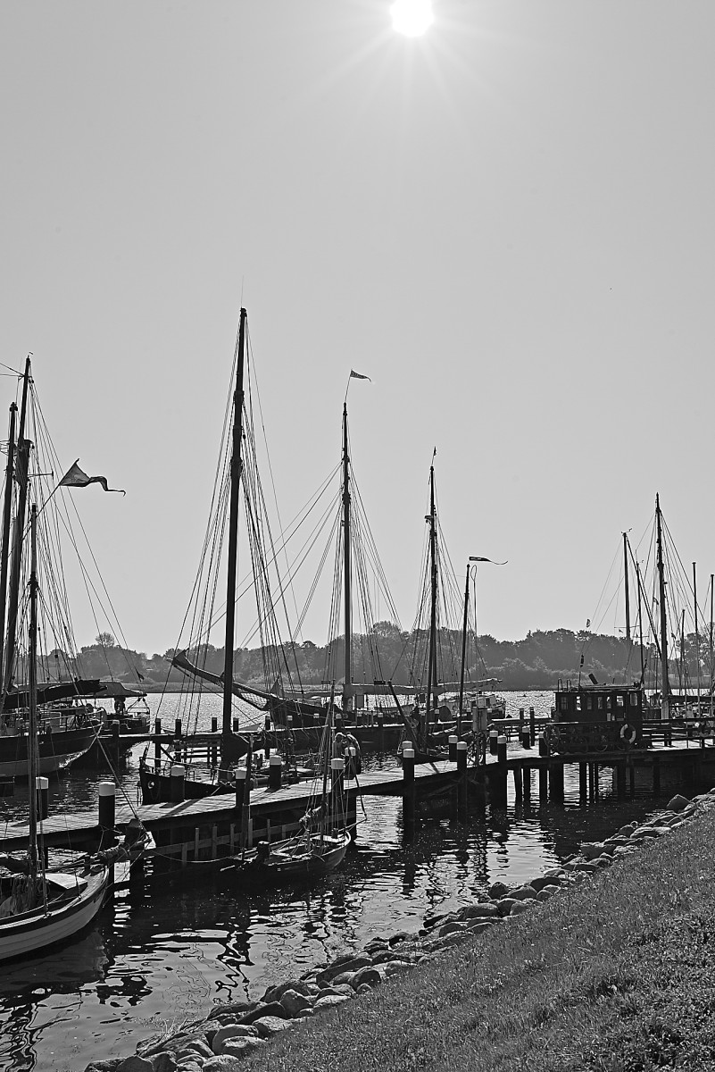 Schlei 04.jpg