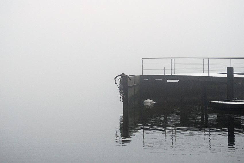 schlei1 farbe