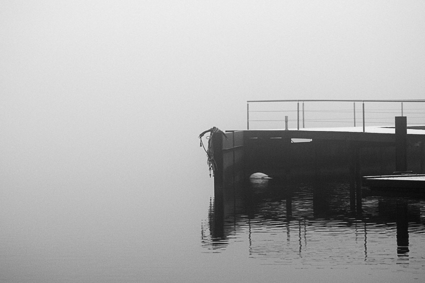 schlei1