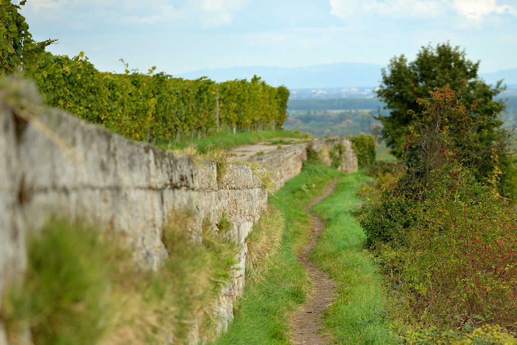 Schleichweg