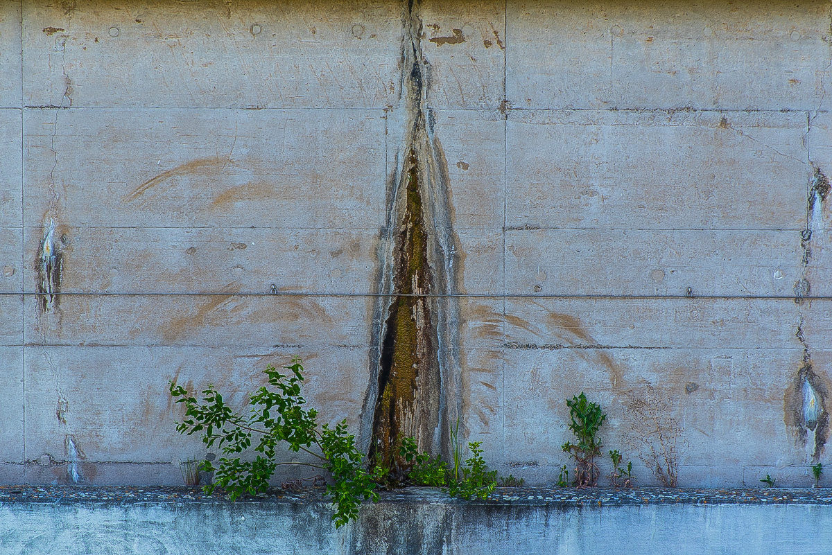 Schleusengrün.jpg