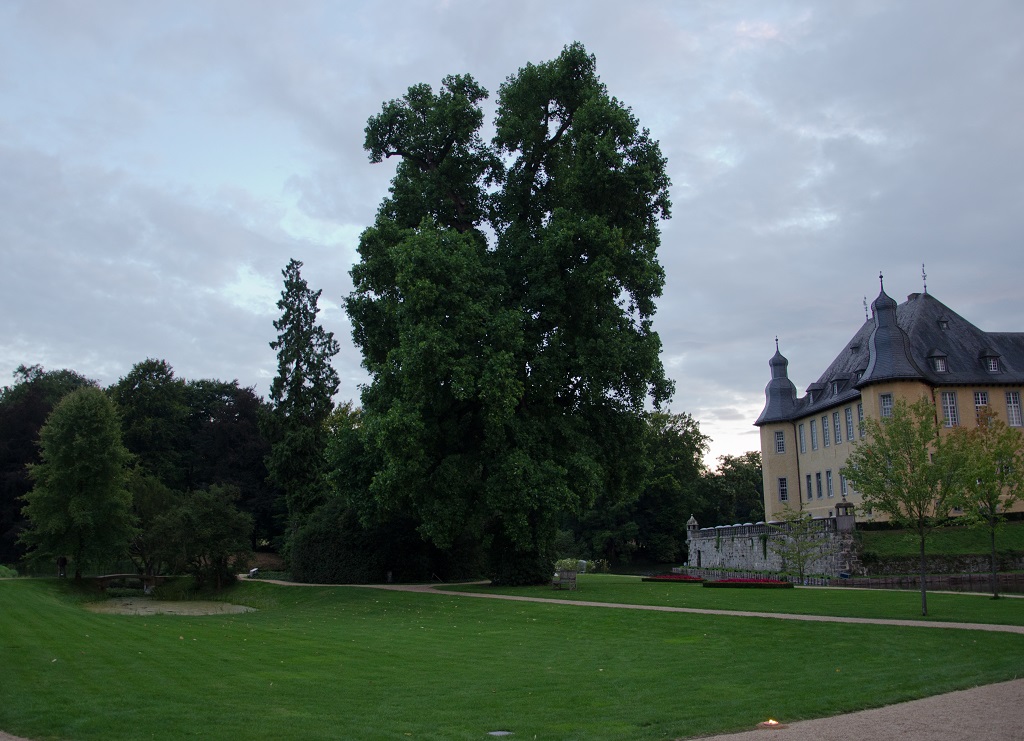 Schloß Dyck (11)