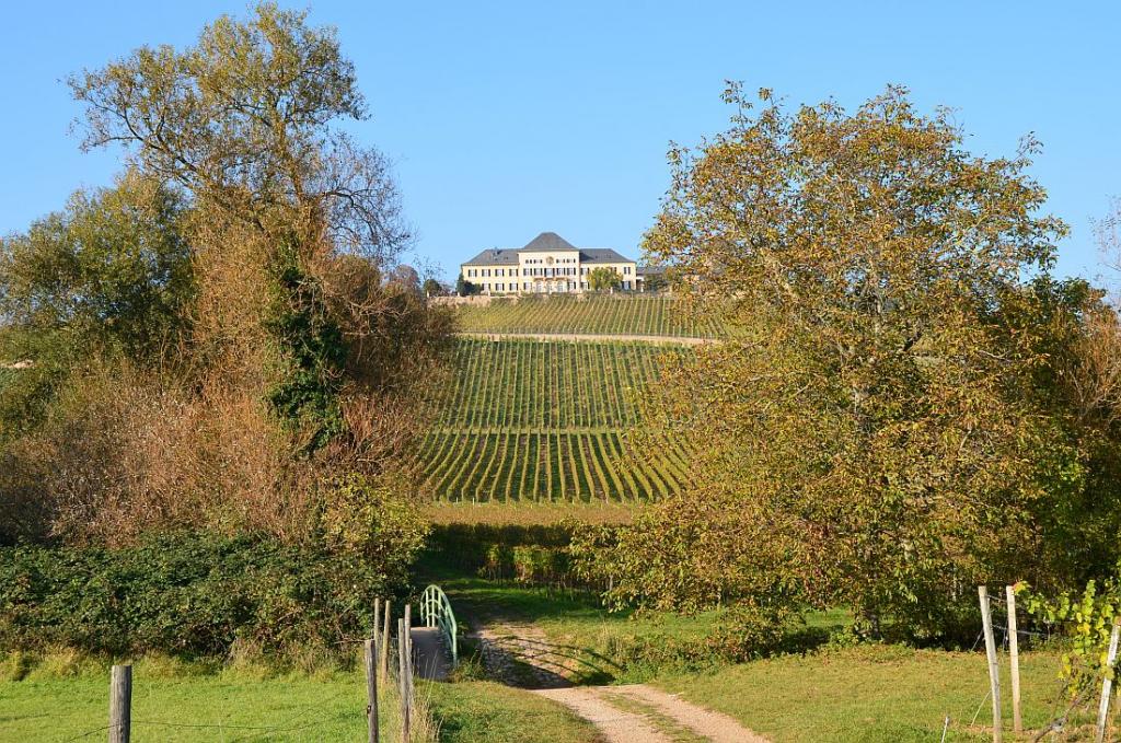 Schloss Johannisberg