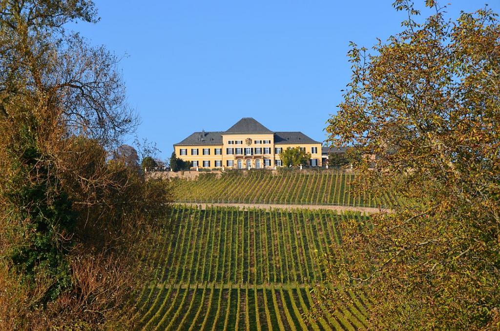 Schloss Johannisberg