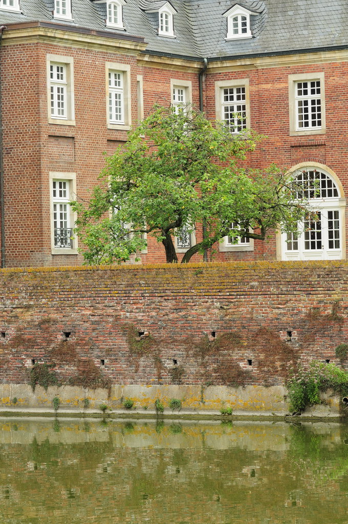 Schlosshofbaum MHX 0100cnxX
