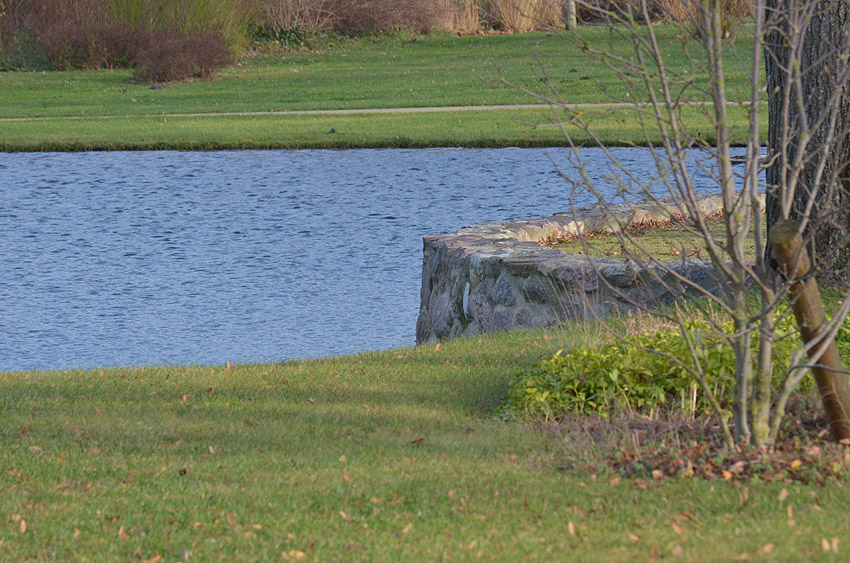 Schlosspark 2011 12 29 56