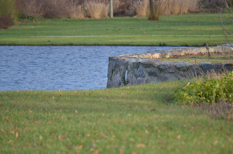 Schlosspark 2011 12 29 59