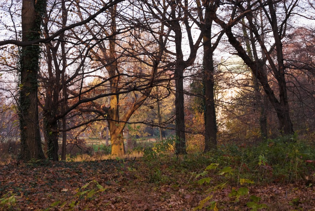 SchlossparkCharlottenburg 0055 111113 1 1024x686 90
