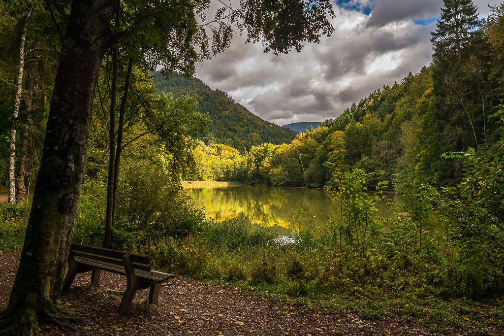 Schlossweiher im Herbst