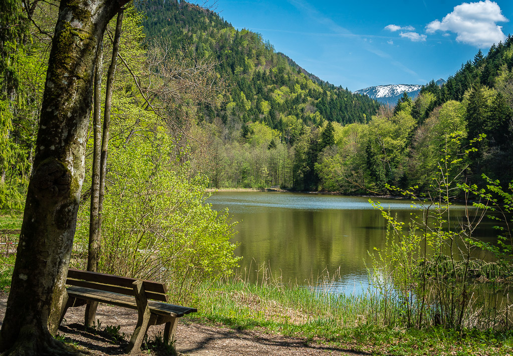 Schlossweiher