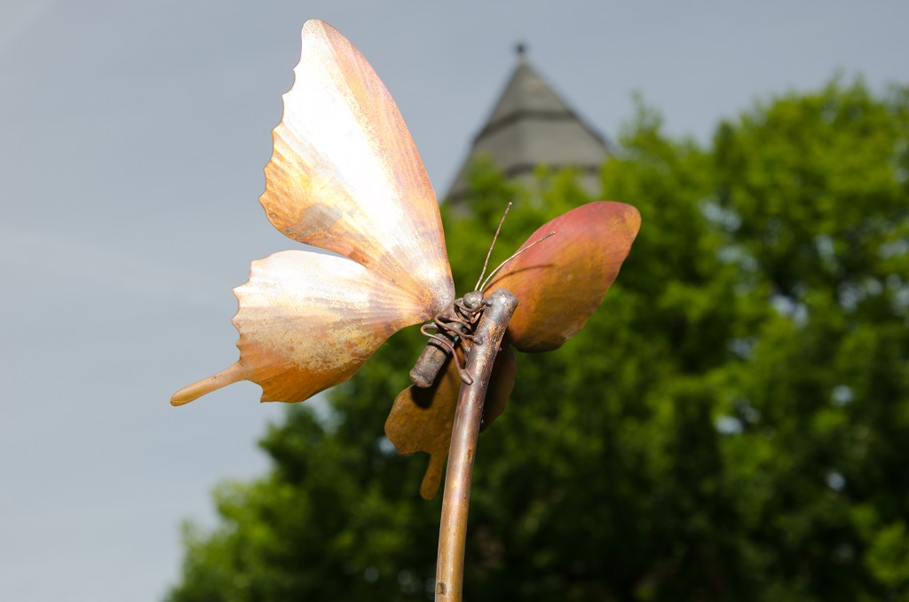 Schmetterling