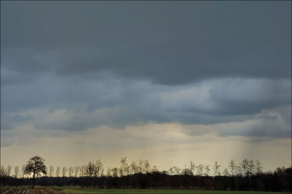 Schmuddelwetter 26.02.2010