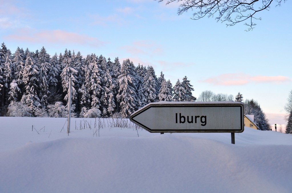 Schnee in Bad Driburg 30.01.2010   04