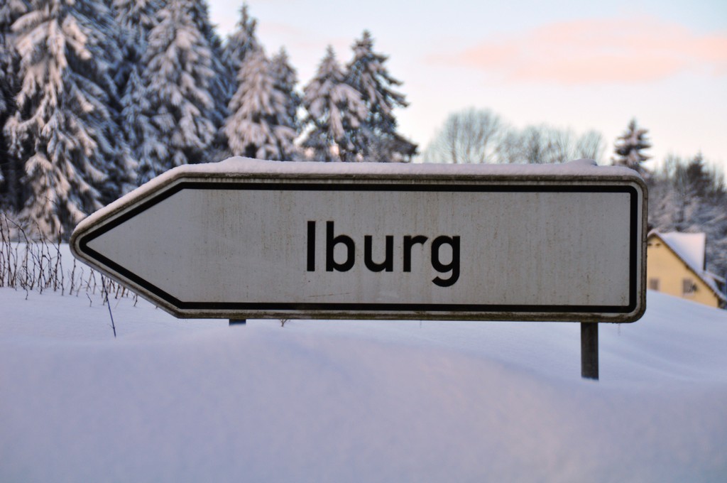 Schnee in Bad Driburg 30.01.2010   05