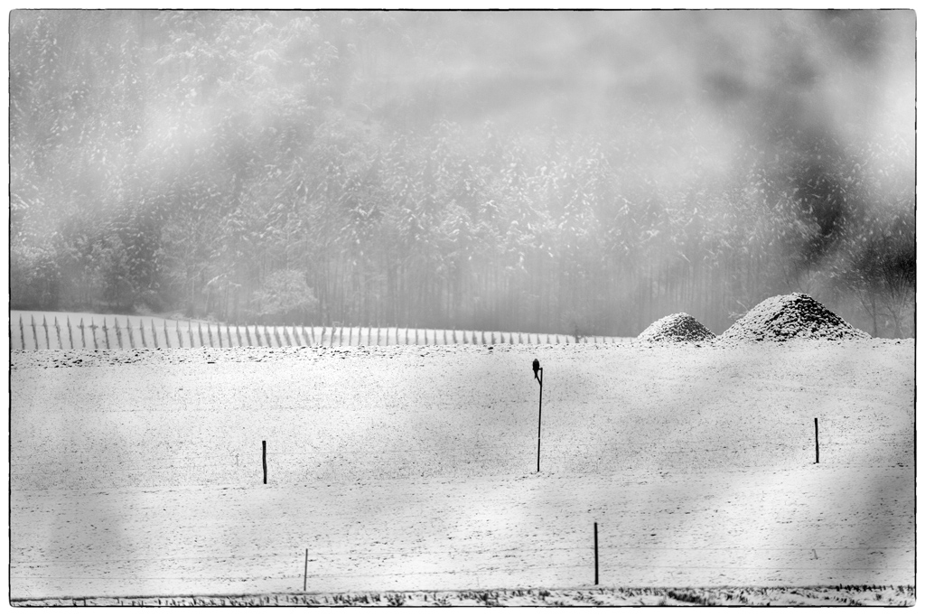 Schnee PZ14850