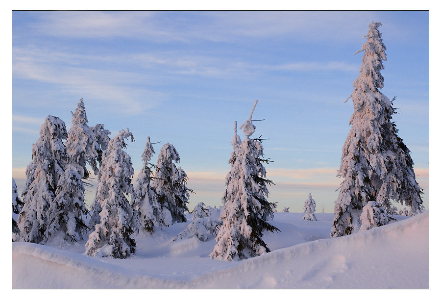 schnee