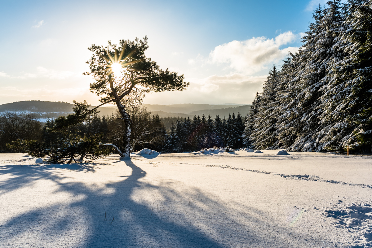 Schnee
