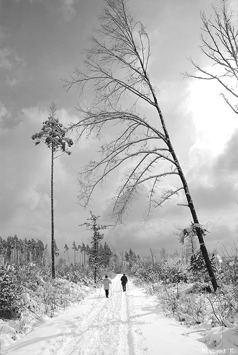 schnee