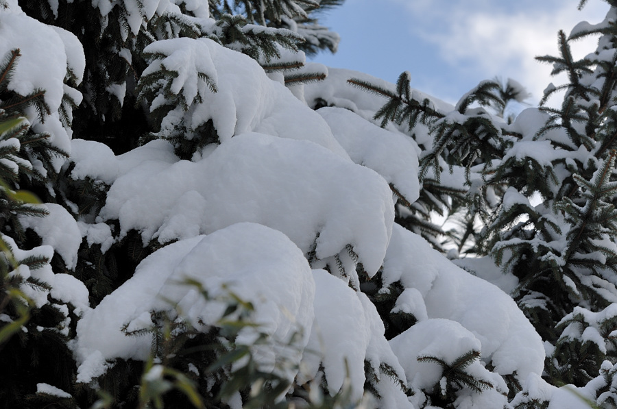 Schnee