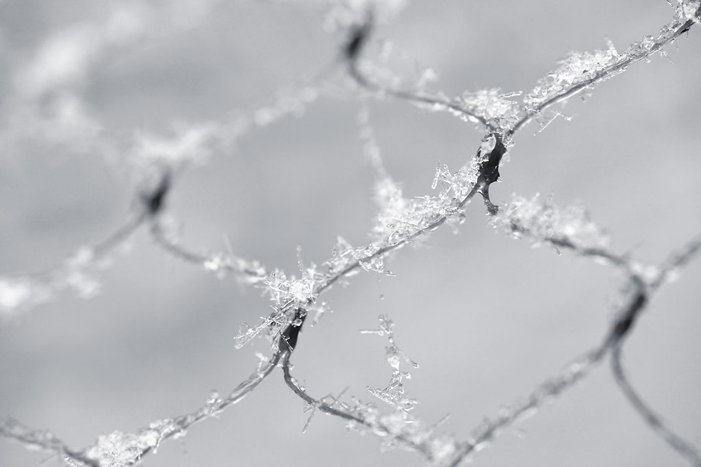 schnee1