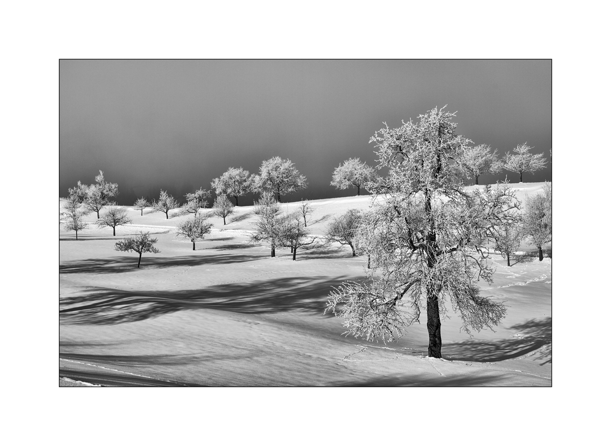Schnee1PZ1 9553