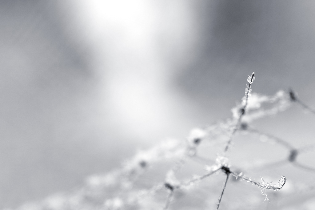 schnee2