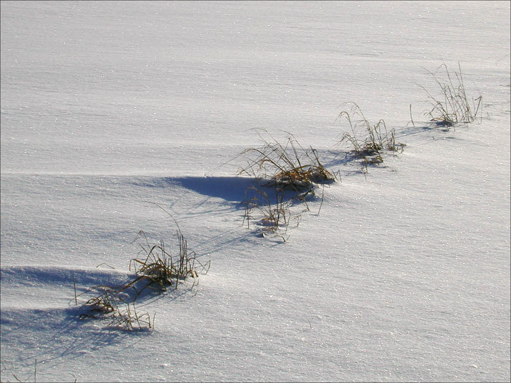 Schnee2002 D