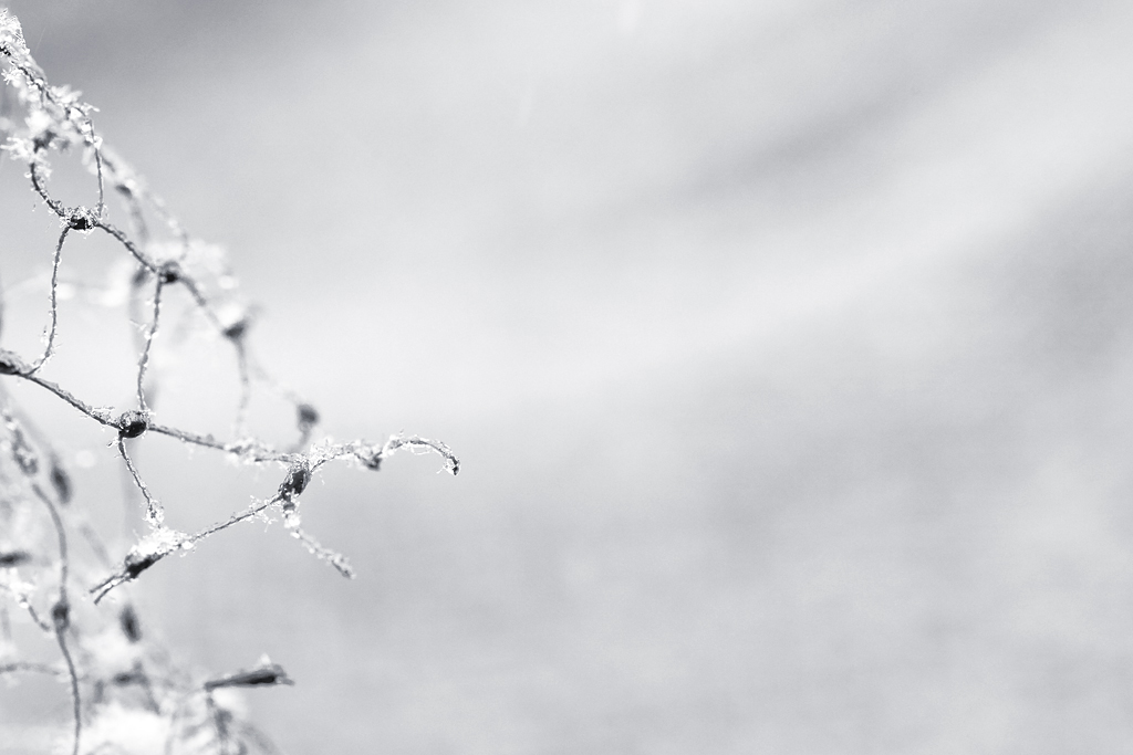 schnee3