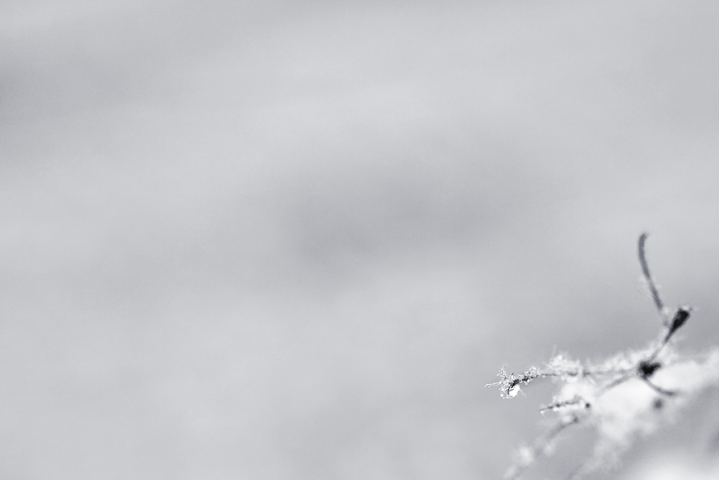 schnee4