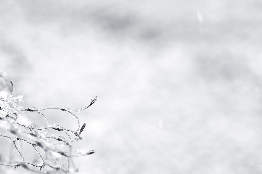 schnee5