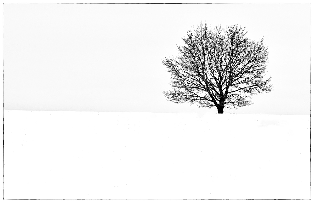Schneeacker