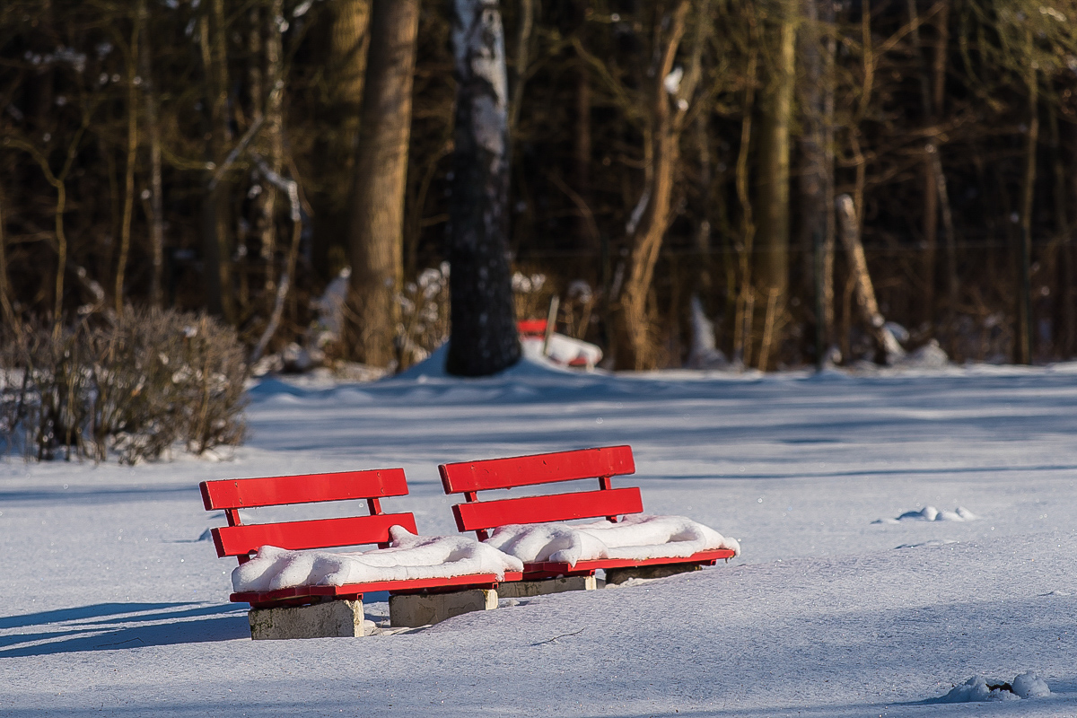 Schneebänke (1 von 1).JPG