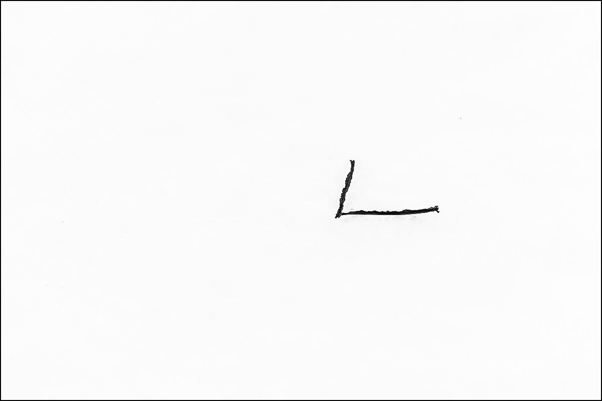 Schneeblatt (1 von 1).JPG