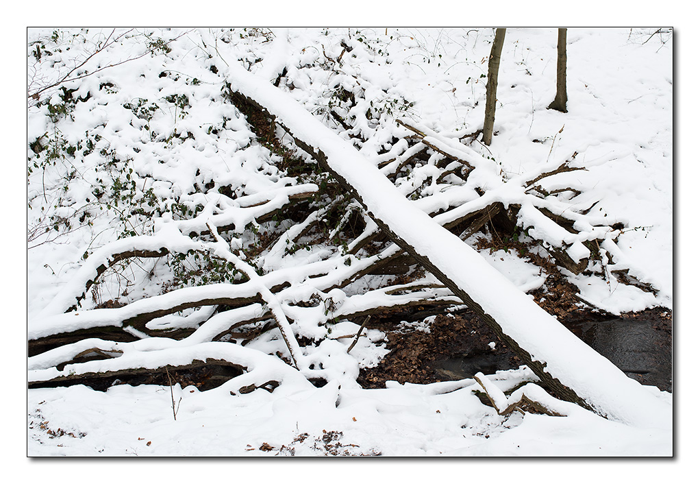 schneechaos2