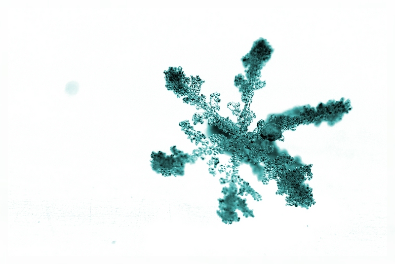 Schneeflocke aqua