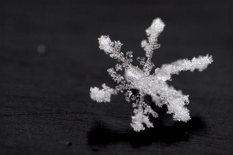 Schneeflocke