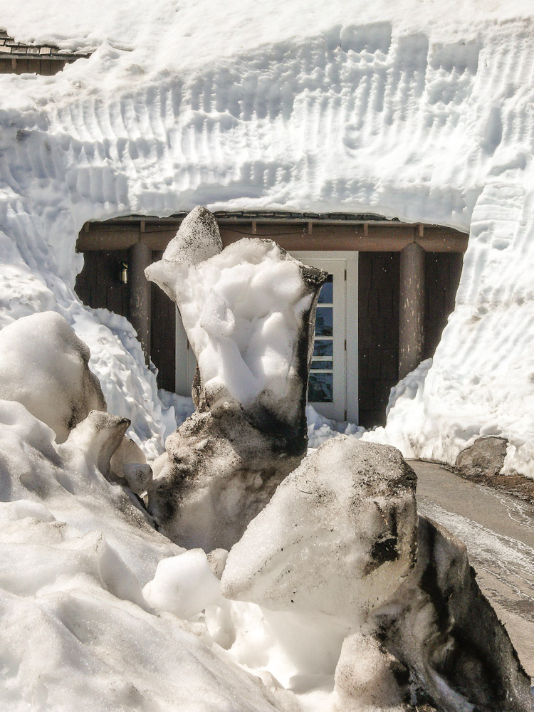 schneegesicht 1 3