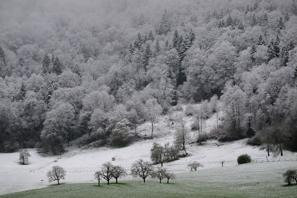 Schneegrenze.jpg