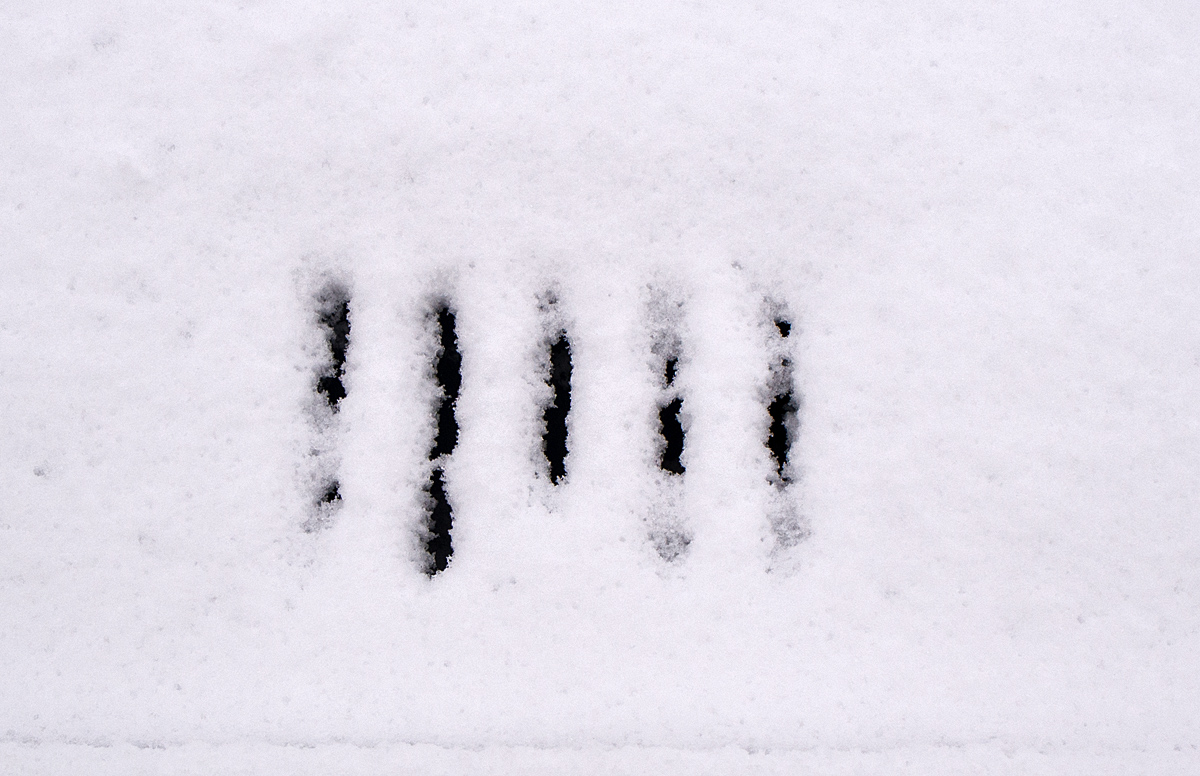 Schneegully