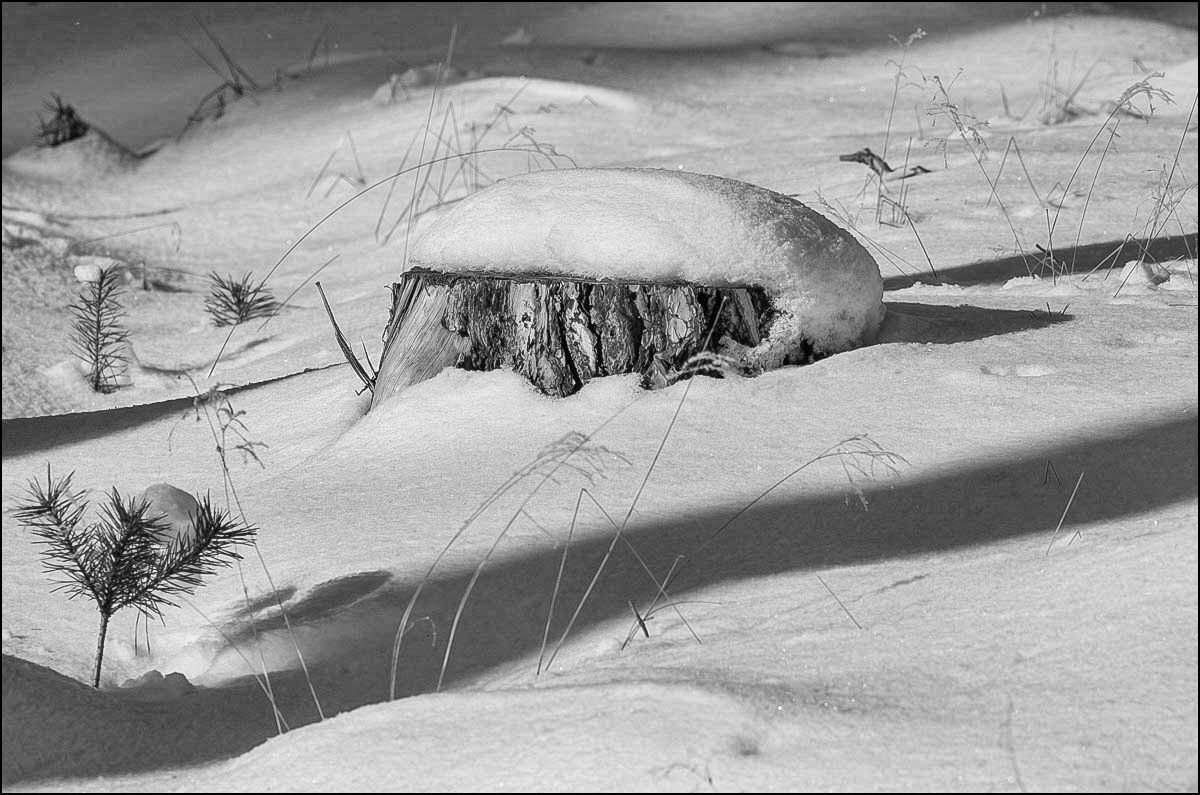 Schneekappe (1 von 1).JPG