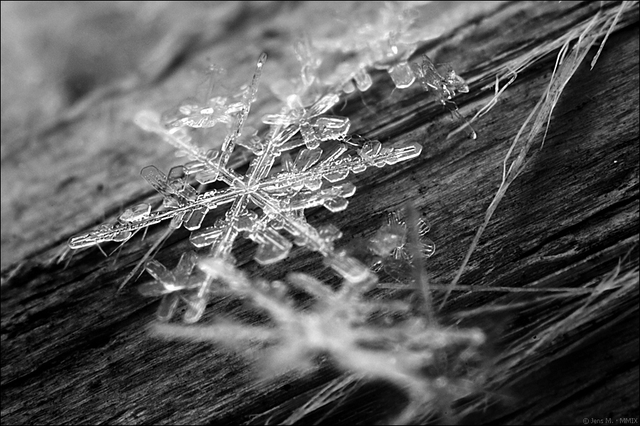 Schneekristalle 2010 01 07 D2X 4753 1d sw