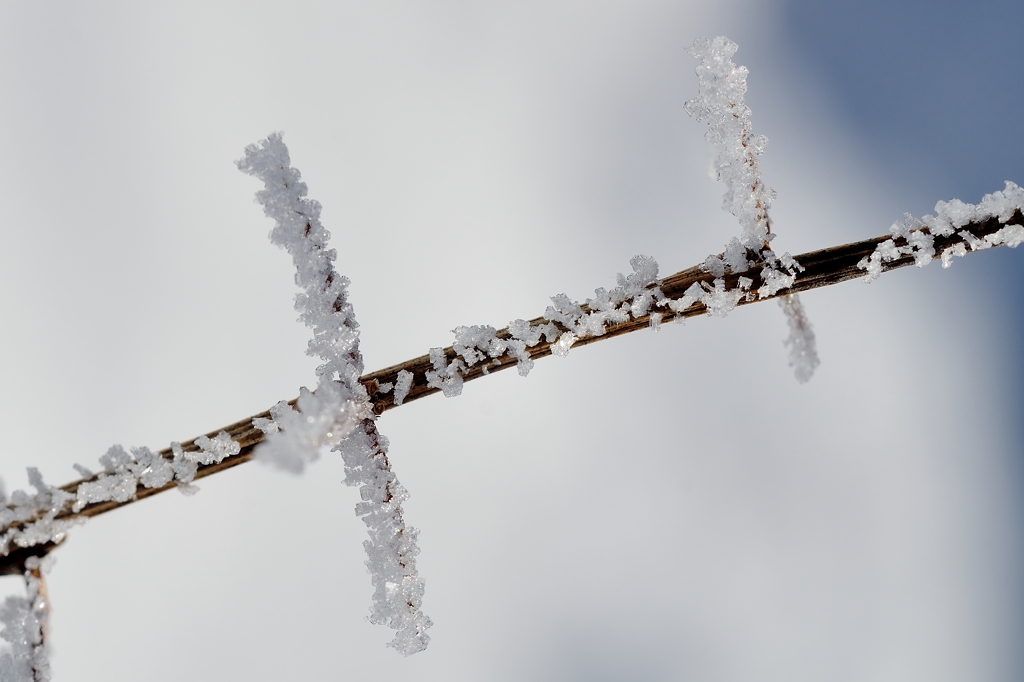 Schneemakro 1