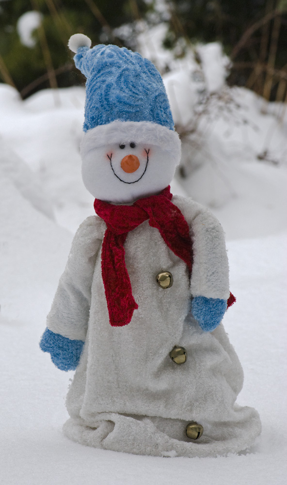 Schneemann DSC 6461 R 1000 nikon