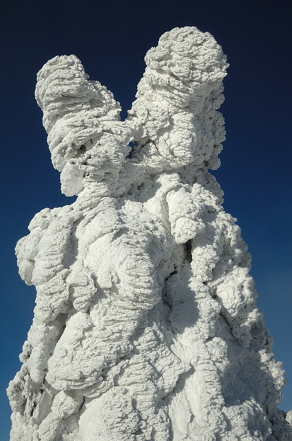 Schneemann küsst Schneefrau