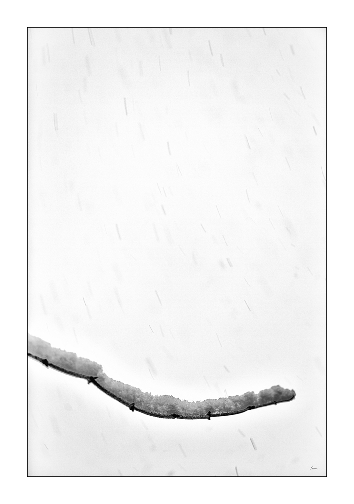 SchneePZ1 4296