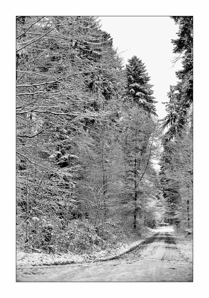 SchneePZ1 4299