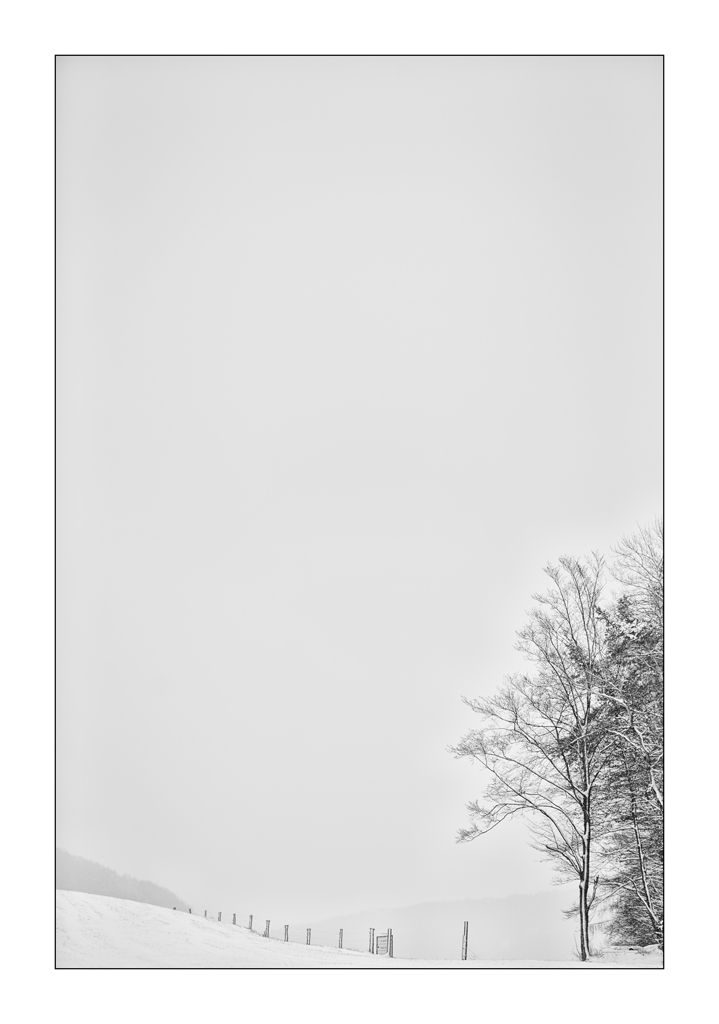 SchneePZ1 4312