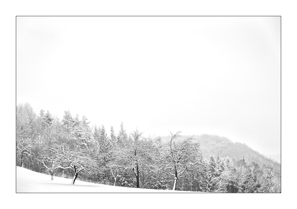 SchneePZ1 4329