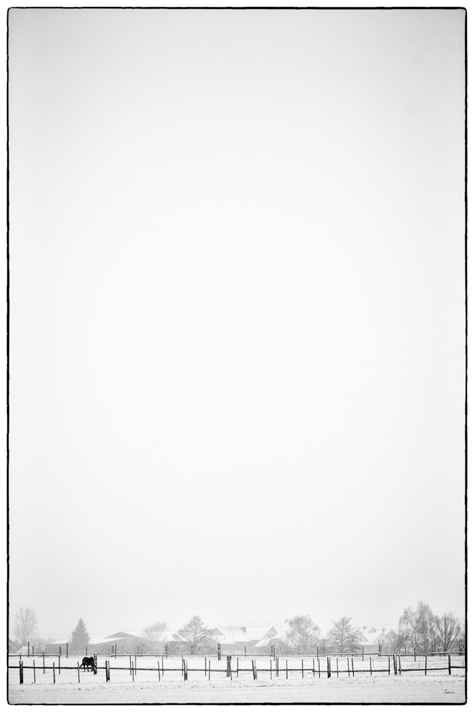 SchneePZ1 4819